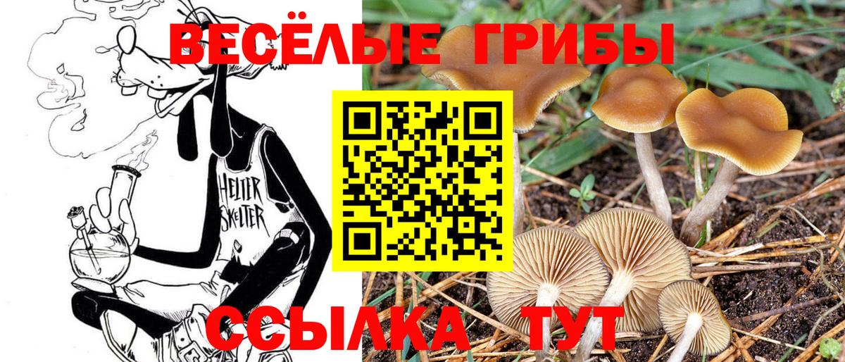 Галлюциногенные грибы GOLDEN TEACHER  Галлюциногенные грибы ЛСД  Вход с VPN  как найти   Стерлитамак 